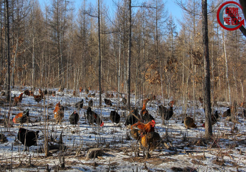 1497750214(1).png 1497750214(1).png