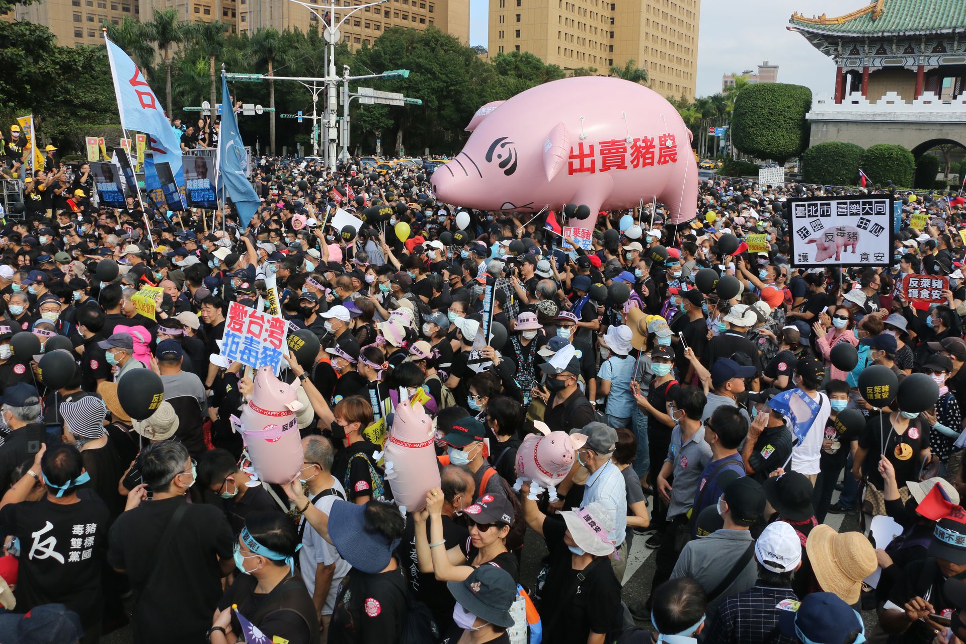 DBB1908C-83ED-4010-8814-50596B50990F.jpeg DBB1908C-83ED-4010-8814-50596B50990F.jpeg