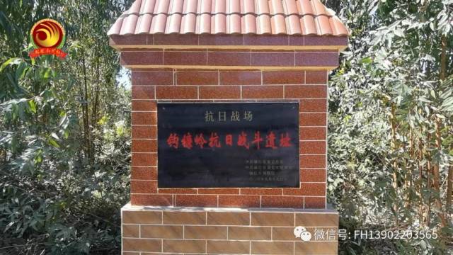 WPS图片-修改尺寸(5).jpg WPS图片-修改尺寸(5).jpg