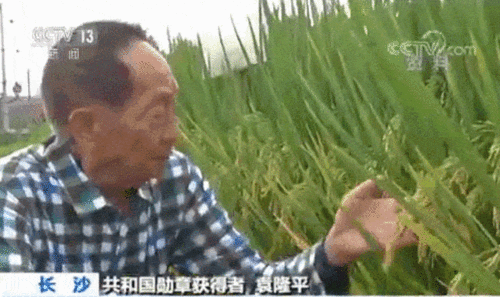 ff6da98d72d1eedc.gif ff6da98d72d1eedc.gif